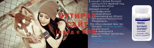 шишки Бородино