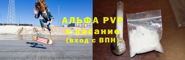 шишки Бородино