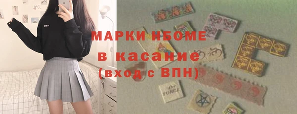 шишки Бородино