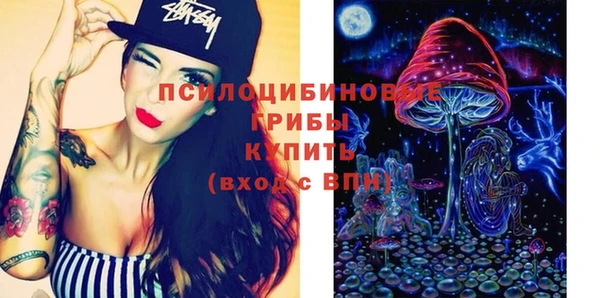 шишки Бородино
