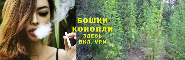 спиды Бронницы