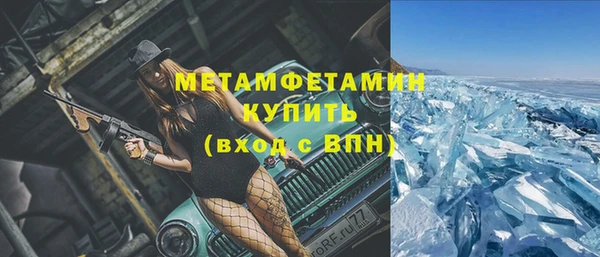 шишки Бородино
