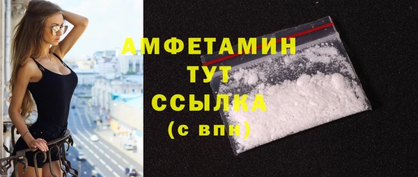 шишки Бородино