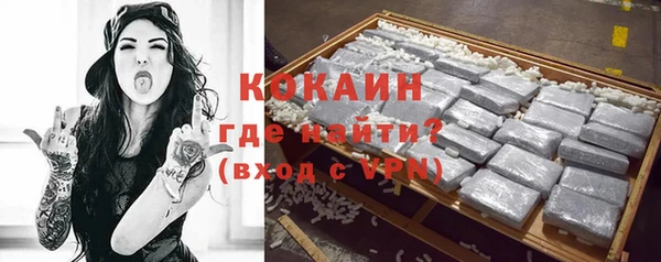 шишки Бородино