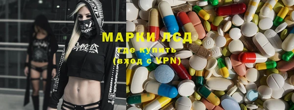 шишки Бородино
