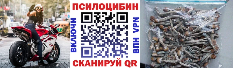 Псилоцибиновые грибы Magic Shrooms  кракен онион  shop как зайти  Дорогобуж 